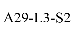 A29-L3-S2