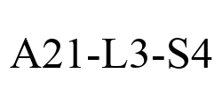 A21-L3-S4