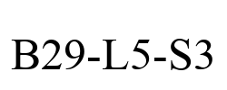 B29-L5-S3
