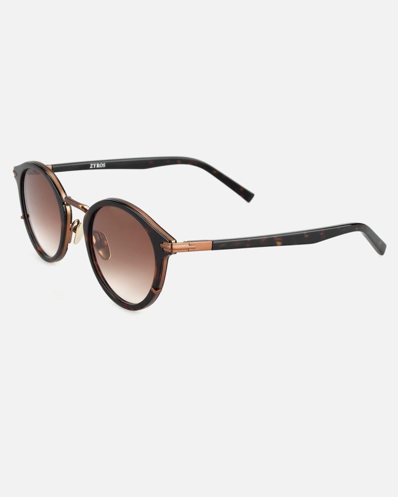 Classic Sunglasses Brown