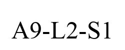 A9-L2-S1