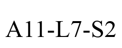 A11-L7-S2