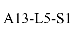 A13-L5-S1