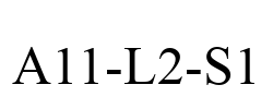 A11-L2-S1
