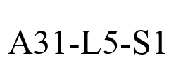 A31-L5-S1