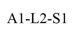 A1-L2-S1