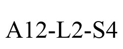 A12-L2-S4