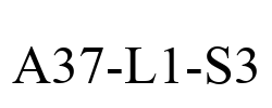 A37-L1-S3