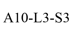 A10-L3-S3