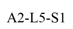 A2-L5-S1