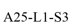 A25-L1-S3
