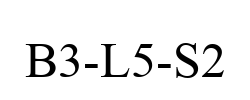 B3-L5-S2