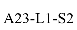 A23-L1-S2