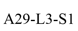 A29-L3-S1