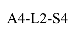 A4-L2-S4