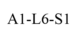 A1-L6-S1