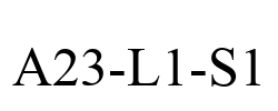 A23-L1-S1
