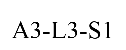 A3-L3-S1