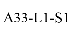 A33-L1-S1