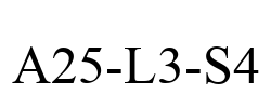 A25-L3-S4