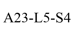 A23-L5-S4