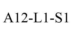 A12-L1-S1