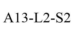 A13-L2-S2