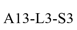 A13-L3-S3