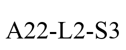 A22-L2-S3