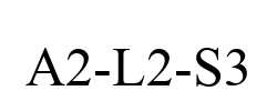 A2-L2-S3