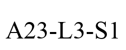 A23-L3-S1