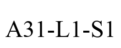 A31-L1-S1