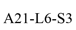 A21-L6-S3