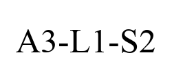 A3-L1-S2