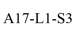 A17-L1-S3