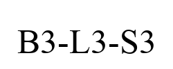 B3-L3-S3