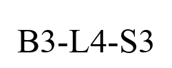B3-L4-S3 B3-L4-S3