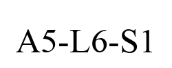 A5-L6-S1