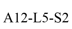 A12-L5-S2
