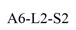 A6-L2-S2