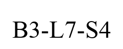 B3-L7-S4