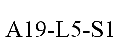 A19-L5-S1