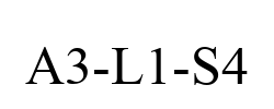A3-L1-S4