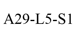 A29-L5-S1
