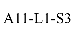 A11-L1-S3