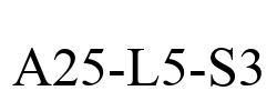A25-L5-S3