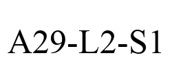 A29-L2-S1