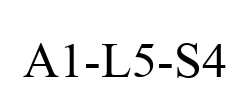 A1-L5-S4