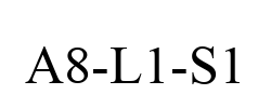 A8-L1-S1