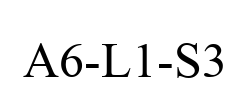 A6-L1-S3